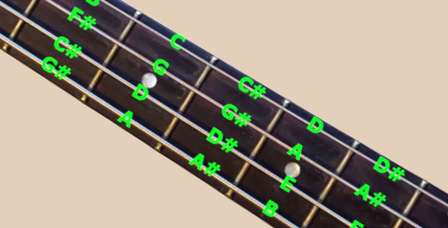 Bass Guitar Notes Chart With Helpful Fretboard Photos BassOx